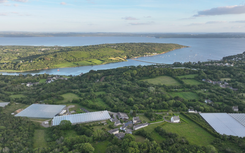 dji 20240610212110 d