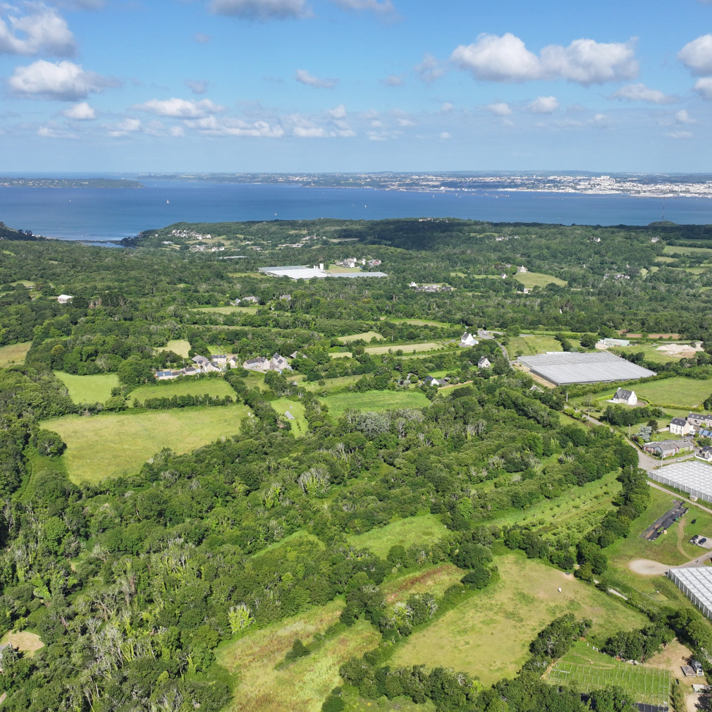 dji 20240611103030 d