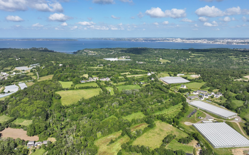 dji 20240611103030 d