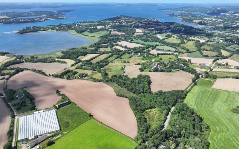 dji 20240611115358 d