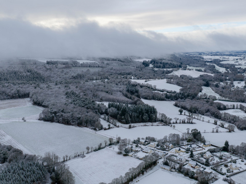 stival 05012025 stival 05012025