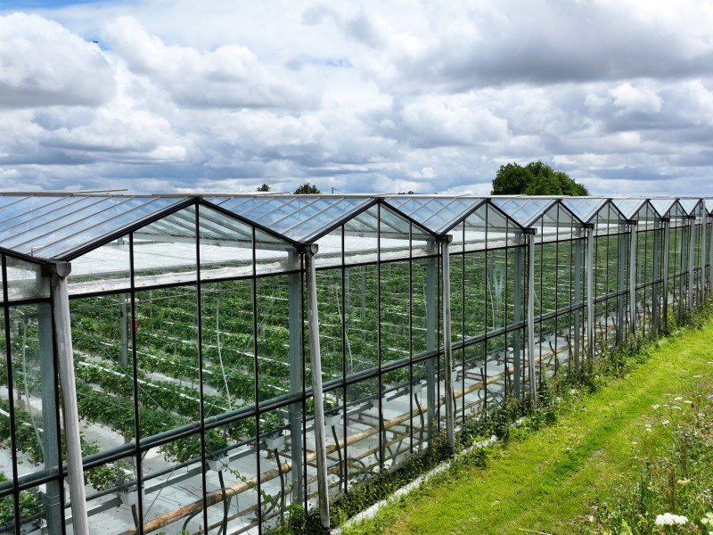 dji 20240610145011 d dji 20240610145011 d