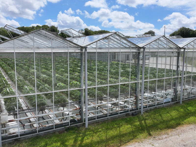 dji 20240610155856 d dji 20240610155856 d