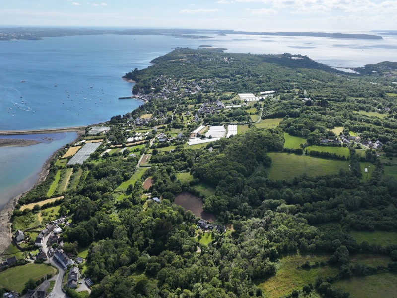 dji 20240610174340 d dji 20240610174340 d