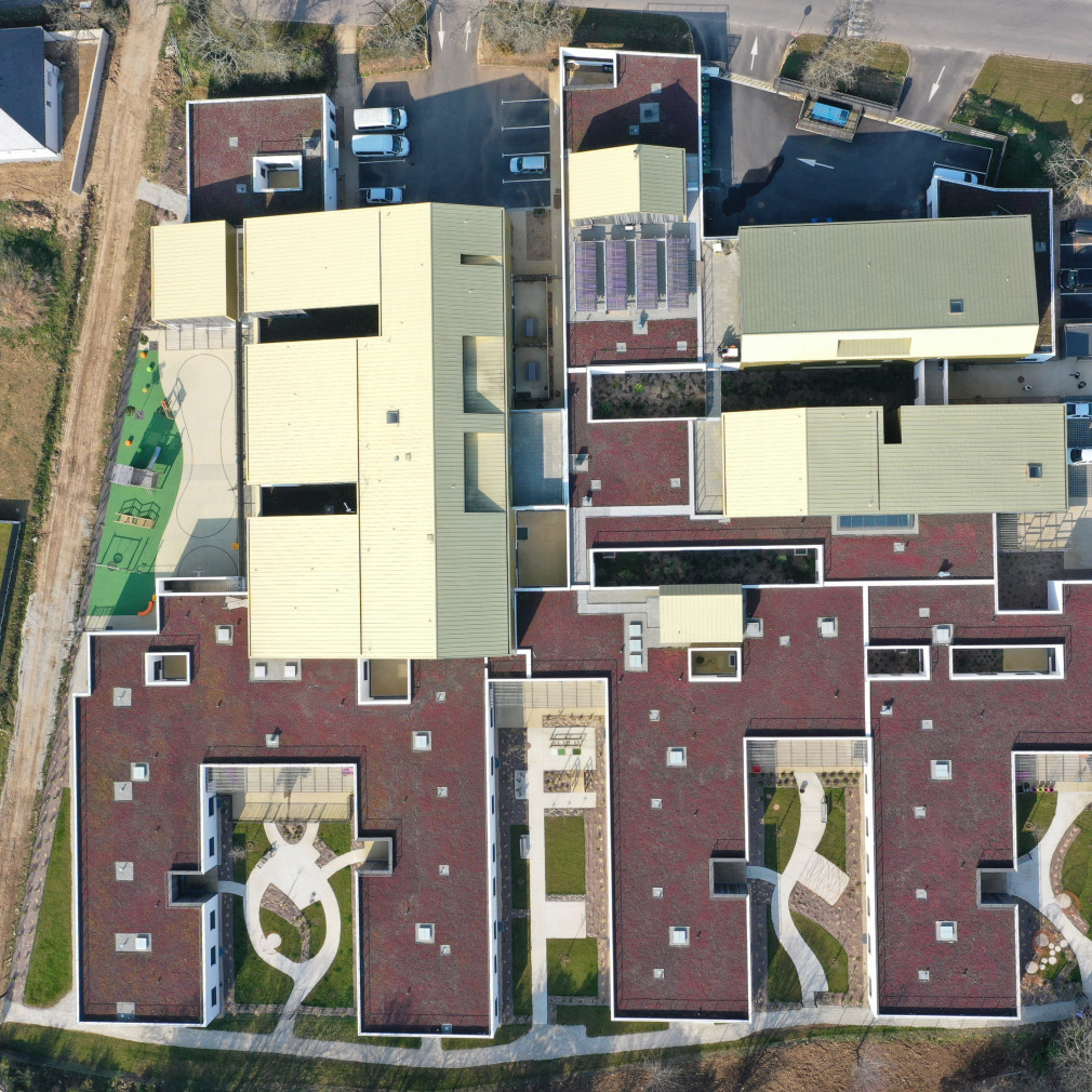 dji