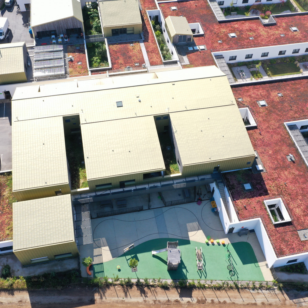 dji