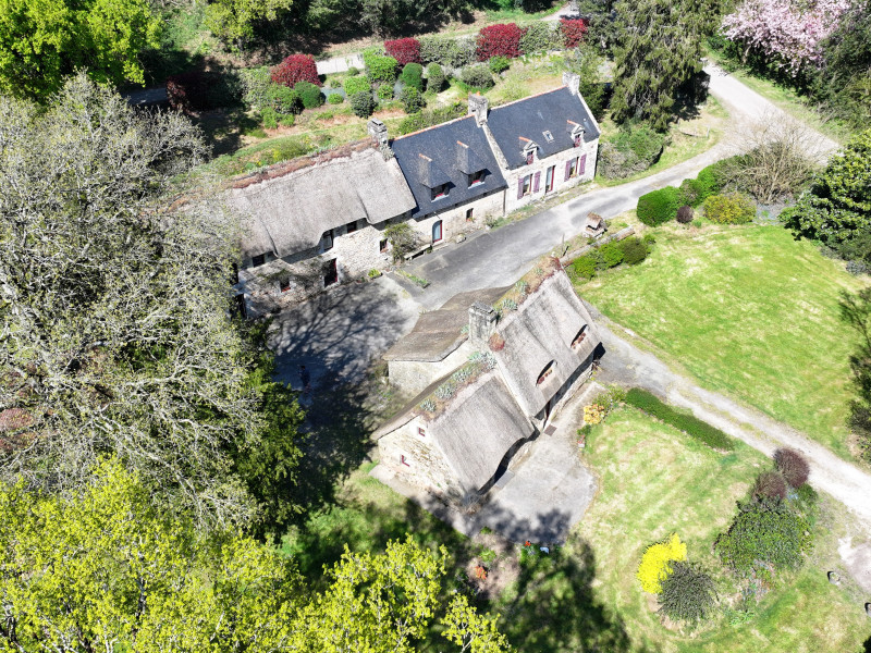 dji 20250411154319 d dji 20250411154319 d