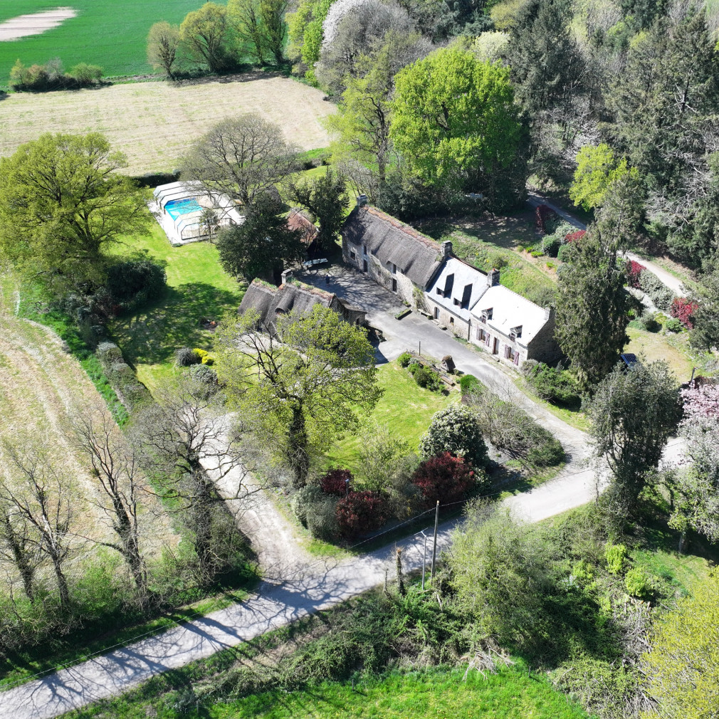 dji 20250411155123 d dji 20250411155123 d