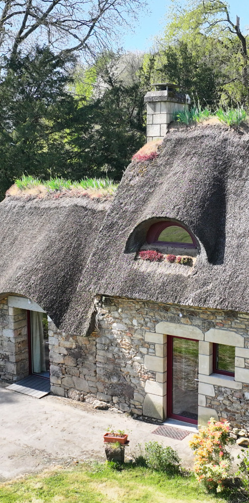 dji 20250411155638 d